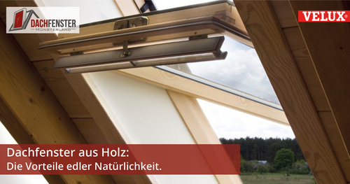 Dachfenster Münsterland - Dachfenster aus Holz