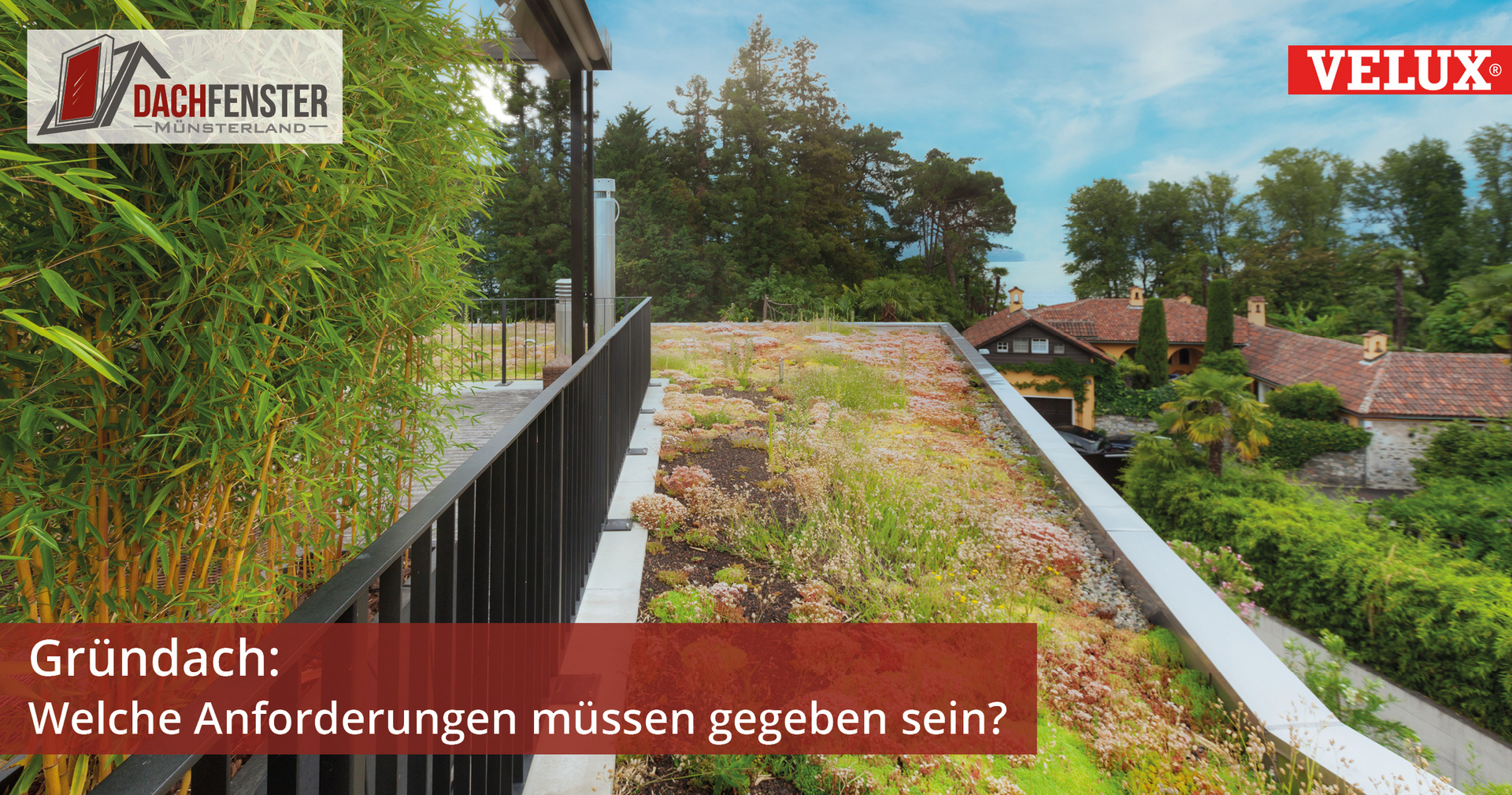Dachfenster Münsterland - Anforderungen Gründach